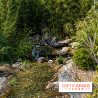 Square Médéric Colombes - jardin japonais 92 -  A7C9951