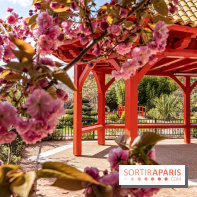 Square Médéric Colombes - jardin japonais 92 -  A7C9962