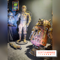 Paris Fan Festival, le salon qui célèbre la pop culture est ouvert à Paris Expo - IMG20230414182801