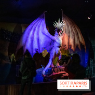 Harry Potter l'exposition dragon