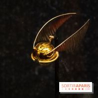 Harry Potter l'exposition vif d'or quidditch
