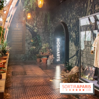 Harry Potter l'exposition cours de botanique