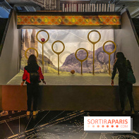 Harry Potter l'exposition quidditch