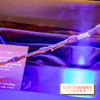 Harry Potter l'exposition baguette de sureau