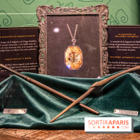 Harry Potter l'exposition baguette