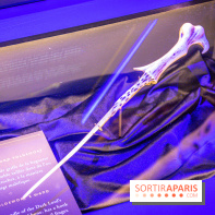 Harry Potter l'exposition baguette voldemort