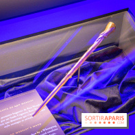Harry Potter l'exposition baguette ron
