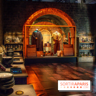 Harry Potter l'exposition cours de potions