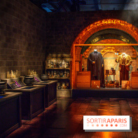 Harry Potter l'exposition cours de potions