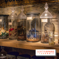 Harry Potter l'exposition cours de potions