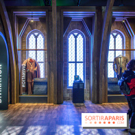 Harry Potter l'exposition défense contre les forces du mal