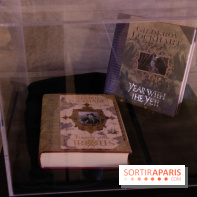 Harry Potter l'exposition défense contre les forces du mal