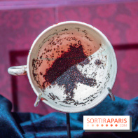 Harry Potter l'exposition divination tasséomancie