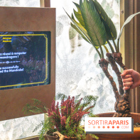 Harry Potter l'exposition cours de botanique