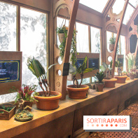 Harry Potter l'exposition cours de botanique