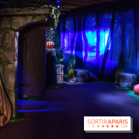 Harry Potter l'exposition forêt interdite