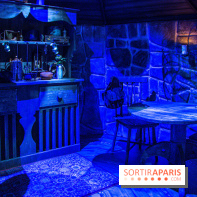 Harry Potter l'exposition cabane de hagrid