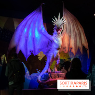 Harry Potter l'exposition dragon