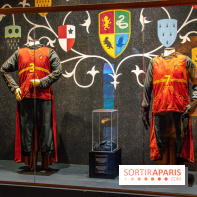 Harry Potter l'exposition quidditch