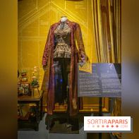 Harry Potter l'exposition costumes tonks