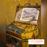 Harry Potter l'exposition poufsouffle