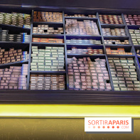 Harry Potter l'exposition baguette