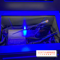 Harry Potter l'exposition baguette