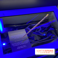Harry Potter l'exposition baguette