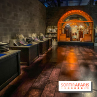 Harry Potter l'exposition cours de potions