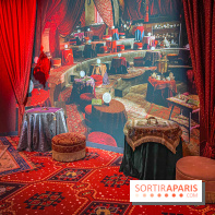 Harry Potter l'exposition divination