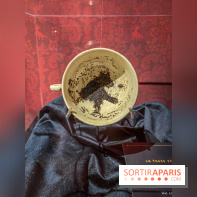 Harry Potter l'exposition divination tasséomancie