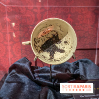 Harry Potter l'exposition divination tasséomancie