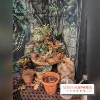 Harry Potter l'exposition cours de botanique