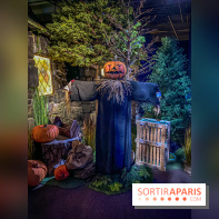 Harry Potter l'exposition cabane de hagrid