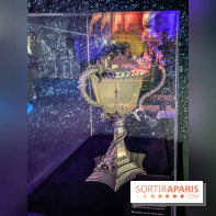 Harry Potter l'exposition coupe de feu tournoi des trois sorciers