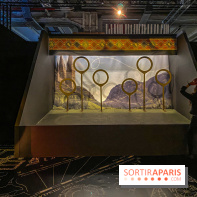 Harry Potter l'exposition quidditch