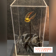 Harry Potter l'exposition quidditch