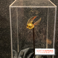 Harry Potter l'exposition quidditch