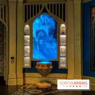 Harry Potter l'exposition bureau dumbledore pensine