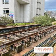 Balade sur la Petite Ceinture du 19e - IMG 1964