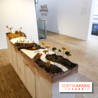 Paris Animal, nos photos de l'expo à Paris - IMG 9766