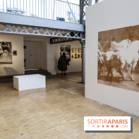 Paris Animal, nos photos de l'expo à Paris - IMG 9786