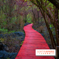 Le Moulin jaune - Hanami 2023