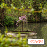 Le Moulin jaune - Hanami 2023