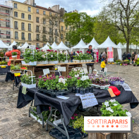 Esprit Jardin à Versailles - Marché aux plantes et animations  - IMG 6126 jpg