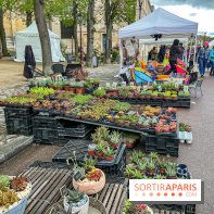Esprit Jardin à Versailles - Marché aux plantes et animations  - IMG 6091