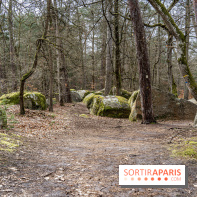 Barbizon, le village entre art et nature  -  A7C7555