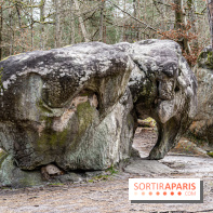 Barbizon, le village entre art et nature  -  A7C7535