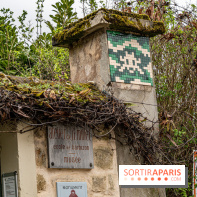 Barbizon, le village entre art et nature  -  A7C7512