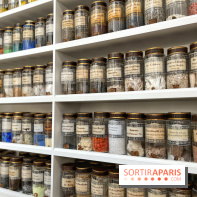 Musée de la Pharmacie - Dynastie Menier - IMG 2184